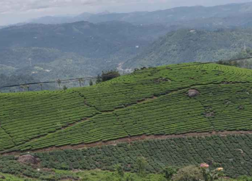 Explore Munnar The Tea Capital of Kerala